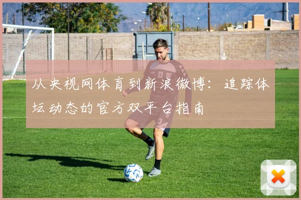 从央视网体育到新浪微博:追踪体坛动态的官方双平台指南